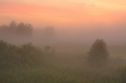 Mists ... / ***