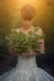 Im Wald / ***
