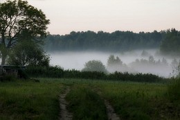 Im Nebel / ***