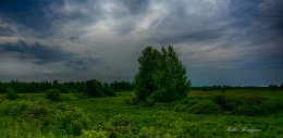 Abendlandschaft / ***