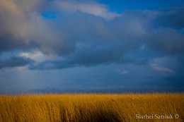 Winter in Liepaja. Sturm. / ***