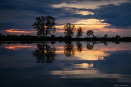 Abend in den Zaun / ***