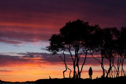 Nord-Kenia / ***