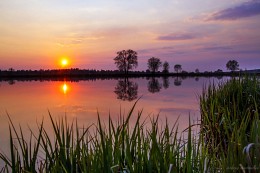 Sonnenuntergang auf dem Zaun / ***
