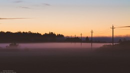 Nebel / ***