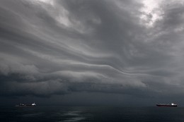 Vor dem Sturm / ***