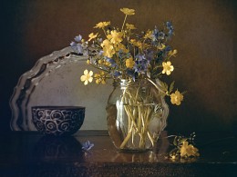 Buttercups mit Glocken ... / ***