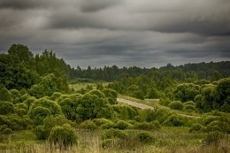 Unterwegs / ***