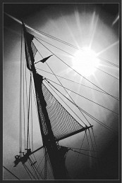 Burnt by the Sun / ***