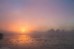 Ratmino in der Morgendämmerung. / ***