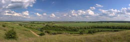 Donetsk Steppe / ***