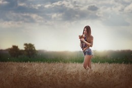 Einfach Feld / ***
