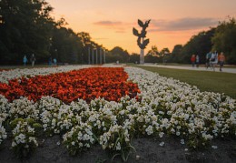 Szczecin / ***