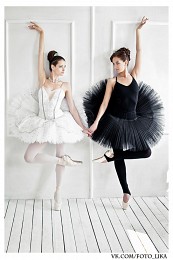 Black & White / ***