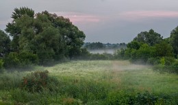 Abend über die Wiese ... / ...