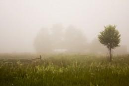 Morgen / ***