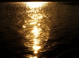 Sonnenuntergang / ***