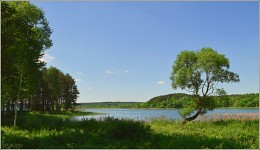 der erste Tag des Sommers / ***