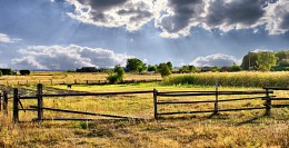 Land Motive / ***