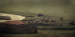 Es gibt Pferde auf dem Fluss / ***