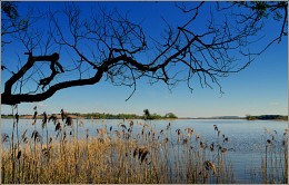 Drei Farben: Blau / ***