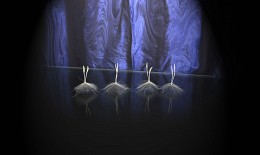 Drei Farben: Blau / ***