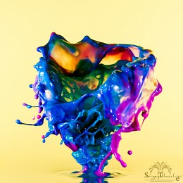 ARTmonstr / ***