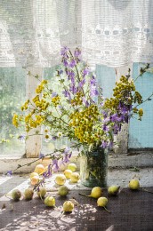 Garden Geschenke / ***
