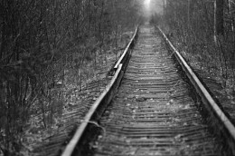 Der Weg ins Leben / 88888