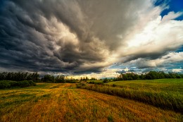 Bald Sturm / ***
