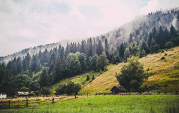 The breath of the Carpatian mountains / ***