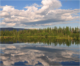 Sommer-Reflexionen / ***