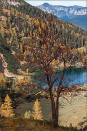 Alpes, Herbst / ***
