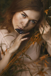 Schmetterling / ***