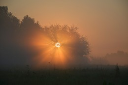 Spray Sun / ***