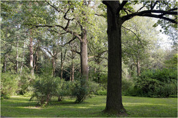 Der Botanische Garten / ***