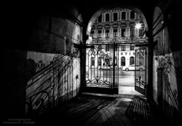 "Peter IMG_1804" / ***