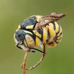 Nicht aufwachen! / ***
