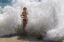 Aphrodite / ***