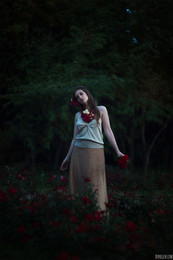 Nacht Rose / ***