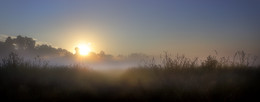 Morgendämmerung im August ... / ***