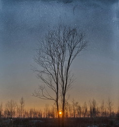 Sonnenuntergang für zwei. / ***