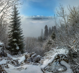 Daytime Nebel in den Bergen. / ***