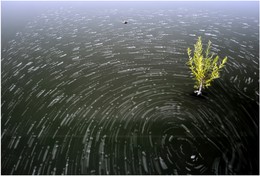 Spiral / ***