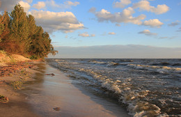 Dnipro shore / ***
