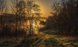Musik der Stille und Licht / ***