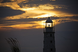 Jeder hat einen Leuchtturm an der Küste ... / ***