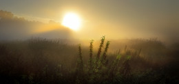 Sonnenaufgänge im August ... 2. / ***