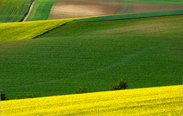Geometrie Felder / ***