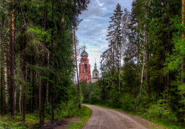 Im Wald / ***